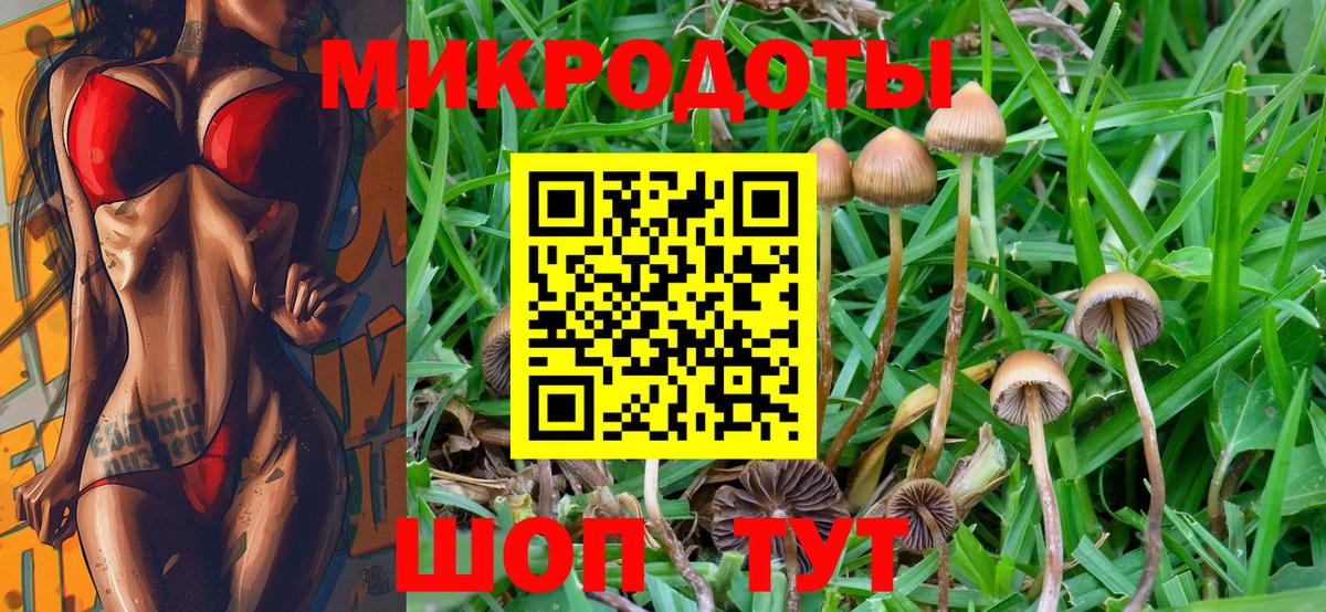 Галлюциногенные грибы MAGIC MUSHROOMS  Вход с VPN  Фурманов 